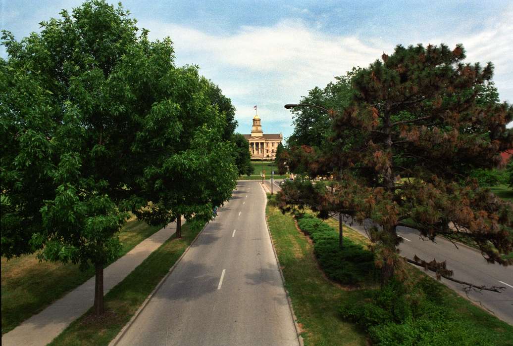 history of Iowa, university of iowa, street, Iowa History, Iowa City, IA, Lemberger, LeAnn, university, road, college, Iowa, Cities and Towns, Schools and Education, tree