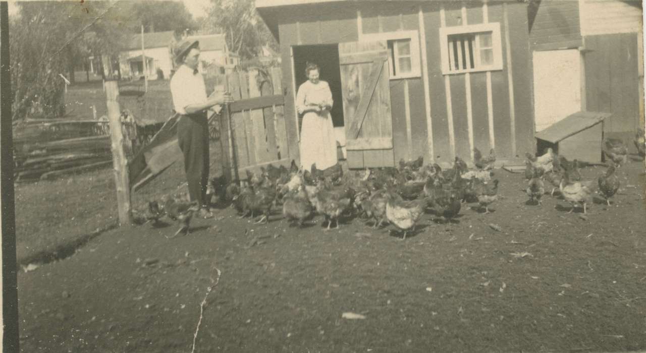 Toledo, IA, history of Iowa, Iowa History, Animals, chickens, chicken coop, Iowa, Farms, Cech, Mary