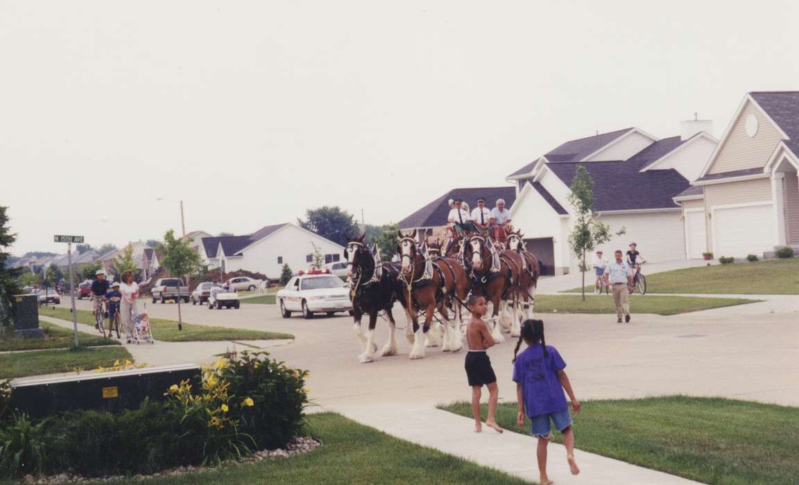 clydesdale, Iowa, suburb, Animals, parade, Fairs and Festivals, horse, Hiawatha, IA, Leisure, Children, Entertainment, Cities and Towns, history of Iowa, Theis, Virginia, Iowa History