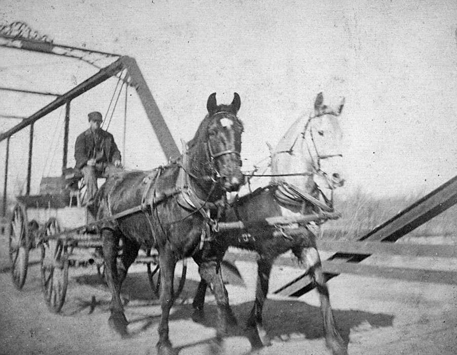 Travel, bridge, history of Iowa, Iowa History, Animals, Lake, George, wagon, Independence, IA, Iowa, carriage, horses