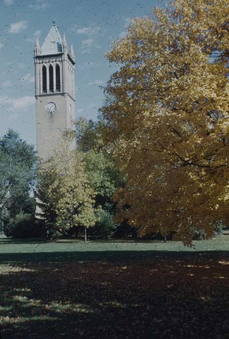 iowa state university, history of Iowa, Sack, Renata, Ames, IA, isu, Iowa History, trees, autumn, Iowa, fall, Schools and Education, campanile