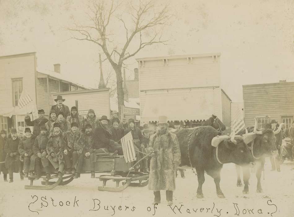 history of Iowa, businessman, town street, Portraits - Group, Businesses and Factories, Waverly, IA, Waverly Public Library, Main Streets & Town Squares, Iowa, Civic Engagement, stock buyers, sled, Winter, Iowa History, Cities and Towns, agricultural industry, Animals, Labor and Occupations