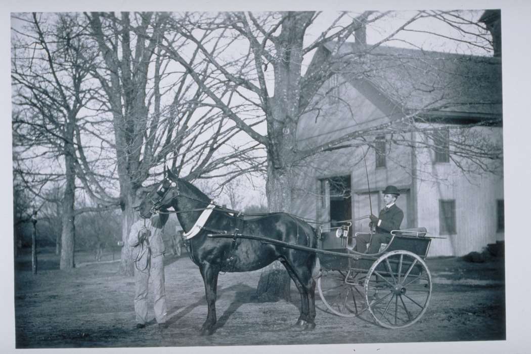 Storrs, CT, history of Iowa, men, Iowa, horse, Iowa History, wagon, tree, Archives & Special Collections, University of Connecticut Library