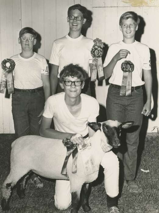 Stewart, Phyllis, correct date needed, suffolk, Iowa, Animals, Fairs and Festivals, Children, 4h, Fort Dodge, IA, sheep, 4-h, history of Iowa, ribbon, Iowa History