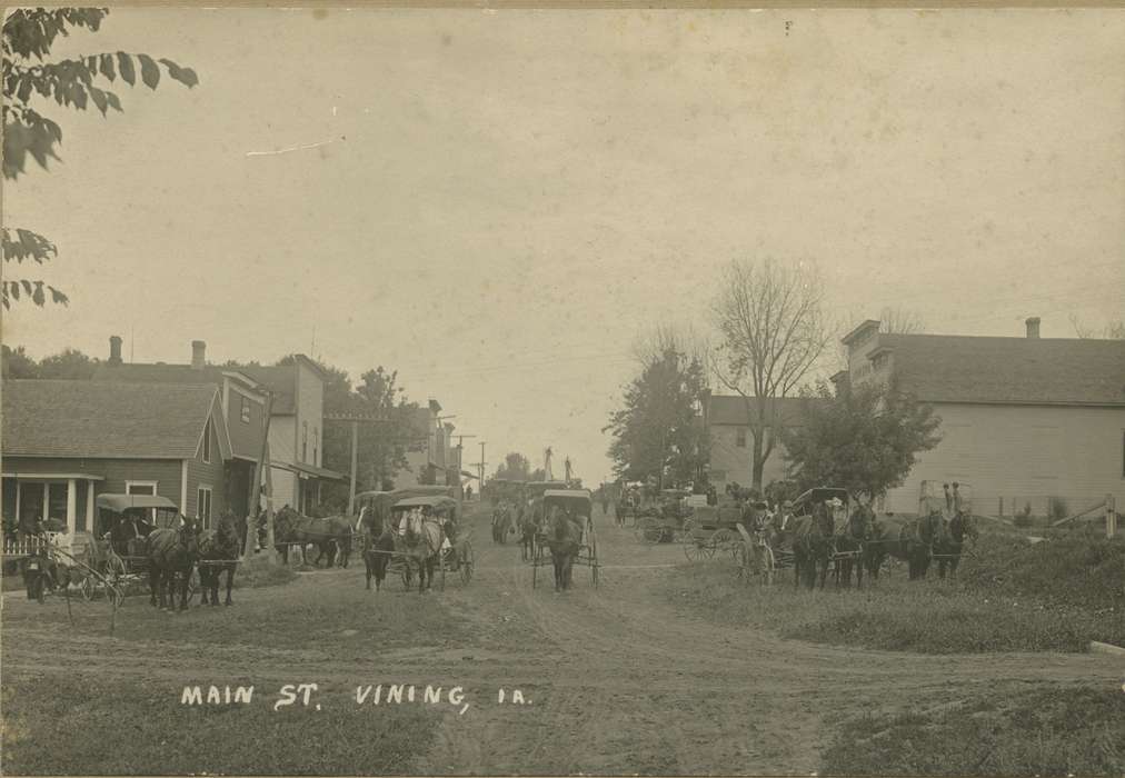 Main Streets & Town Squares, history of Iowa, Iowa History, road, horse and buggy, Animals, Iowa, Cities and Towns, Cech, Mary, Vining, IA