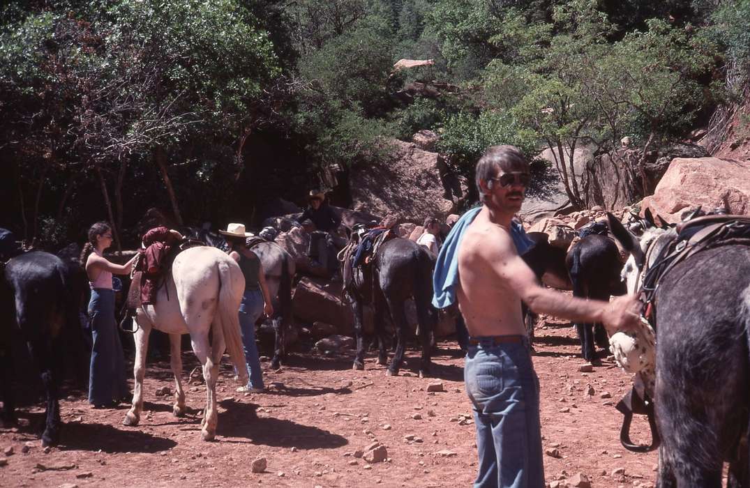 Travel, history of Iowa, Iowa History, grand canyon, Animals, Iowa, Zischke, Ward, AZ, horse