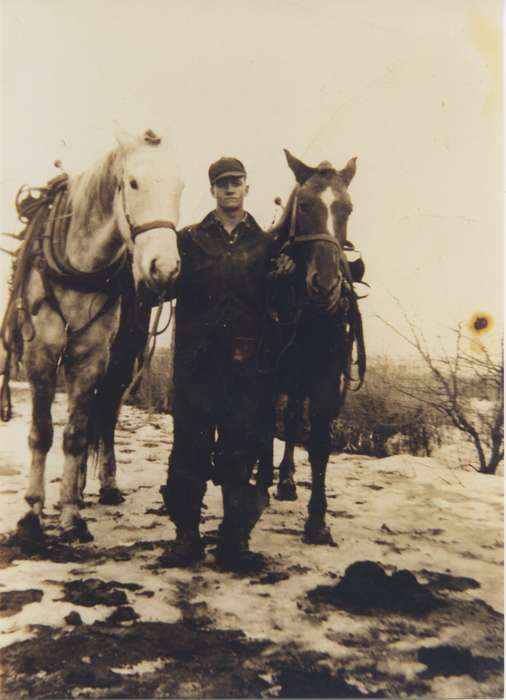 history of Iowa, Iowa History, Animals, Harrison County, IA, Ring, Jana, Iowa, horse, Portraits - Individual