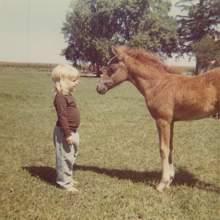 history of Iowa, Iowa History, Ottosen, IA, Hale, Gina, Animals, Iowa, Farms, horse, Children