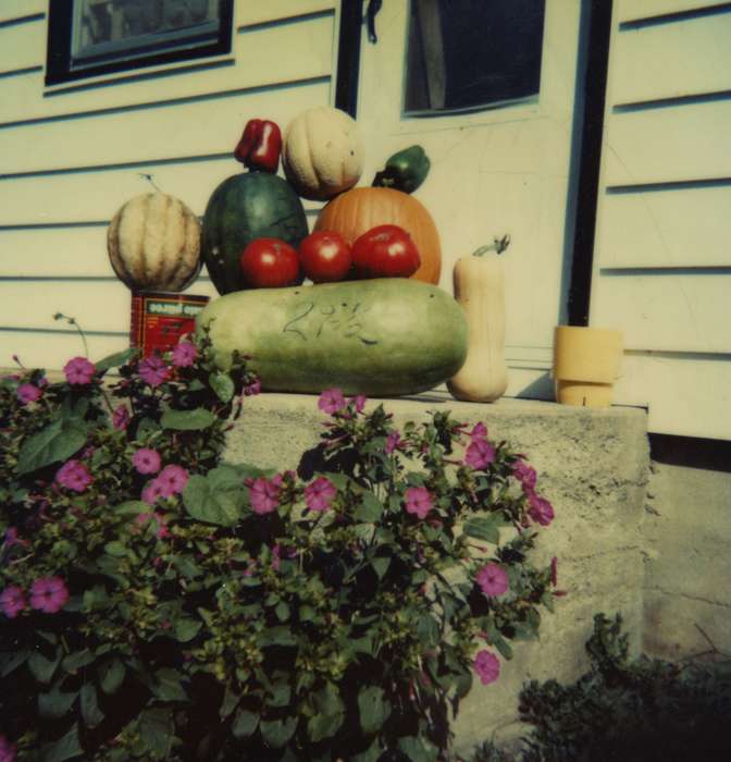 vegetables, Iowa Falls, IA, Reiter-Husted, Brenda, flowers, history of Iowa, Iowa History, vegetable, Iowa, Homes, flower, Food and Meals