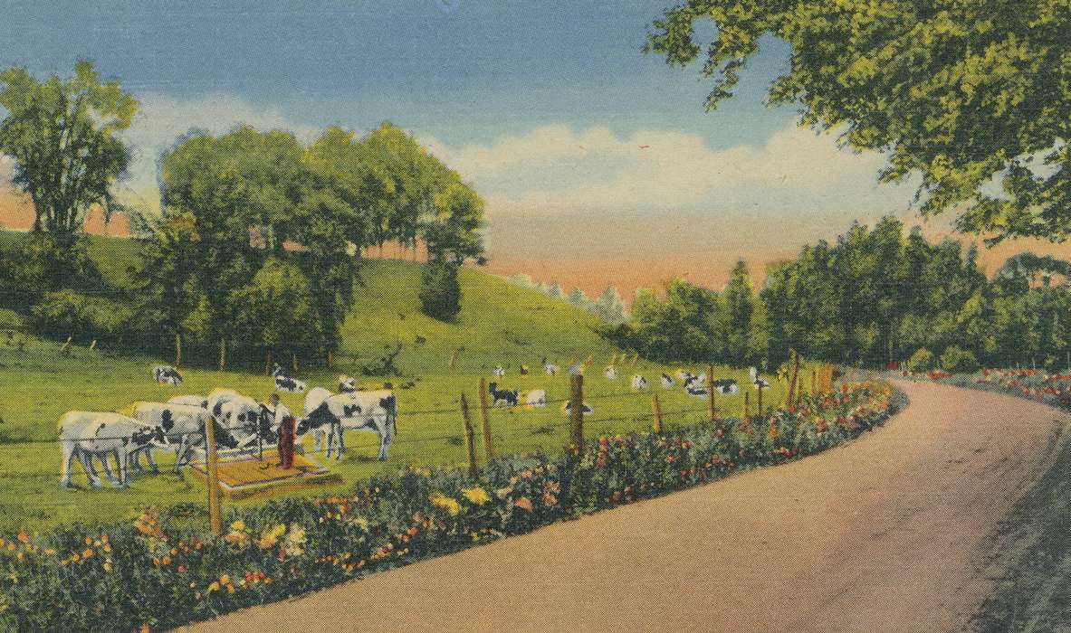 cows, Landscapes, exact date not obtainable, Iowa, Animals, pasture, Meyer, Sarah, farmland, Farms, history of Iowa, Waverly, IA, dirt road, Iowa History