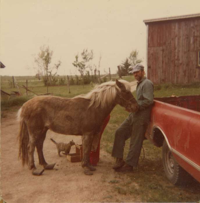 Animals, Portraits - Individual, cat, Iowa History, Iowa, Motorized Vehicles, IA, truck, Farms, mule, Scholtec, Emily, fence, history of Iowa