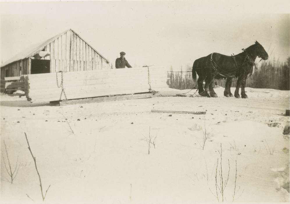 history of Iowa, Iowa History, Ottumwa, IA, Lemberger, LeAnn, barn, Animals, Iowa, lumber, Farms, horses