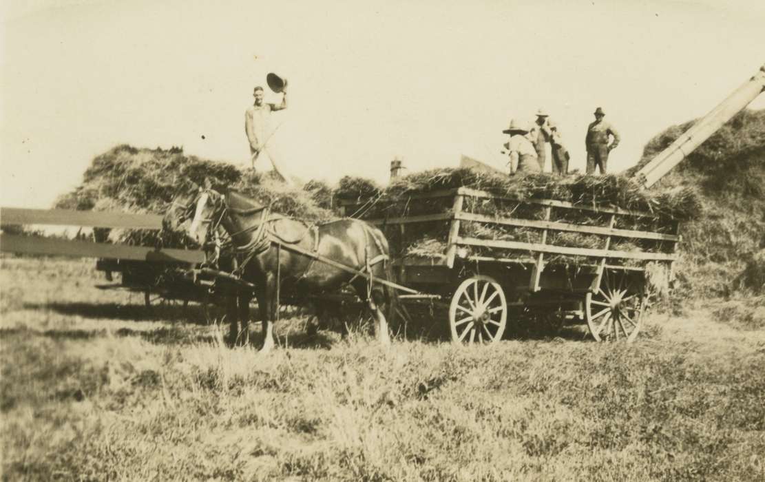 Moravia, IA, Farming Equipment, history of Iowa, Iowa History, harvesting, Animals, wagon, Iowa, Martin, Carol, Farms, horse, hat