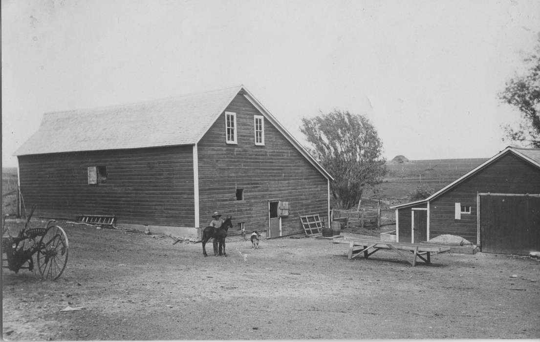 farmer, Farming Equipment, history of Iowa, Iowa History, Zubrod, Kevin and Deanna, Barns, Animals, Iowa, Sutherland, IA, Farms, horse, dog