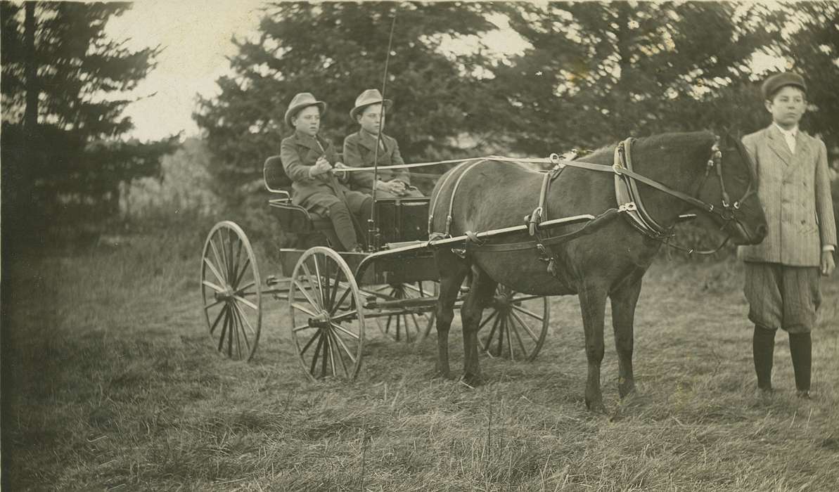 Portraits - Group, Owen, Jeff, history of Iowa, Iowa History, IA, horse and buggy, Animals, boys, Iowa, carriage, horse, Children