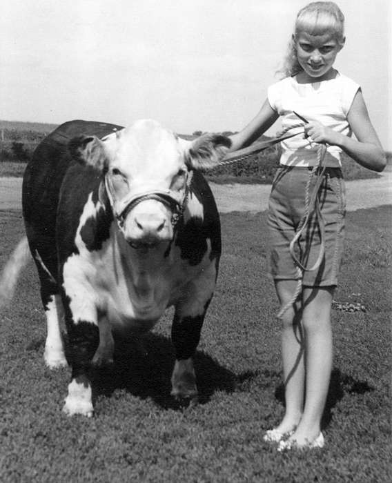 bull, cattle, Iowa History, Fuller, Steven, Children, Iowa, Farms, hereford, history of Iowa, Portraits - Individual, Animals, 4-h, Story County, IA