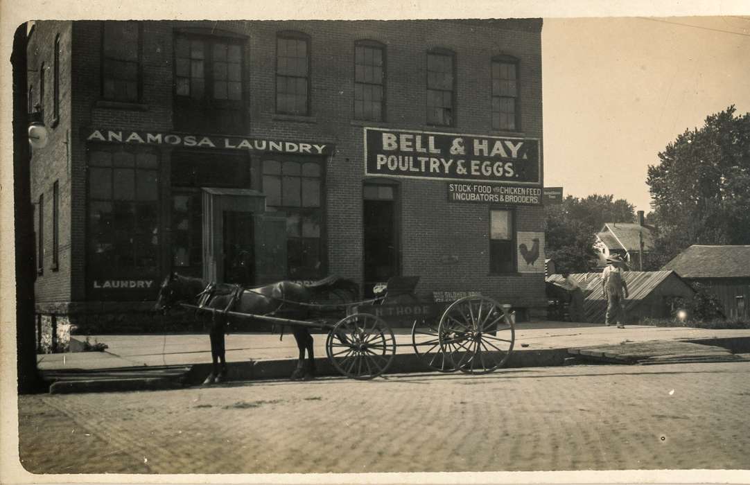 Businesses and Factories, Cities and Towns, Iowa History, Iowa, laundry, Anamosa Library & Learning Center, hatchery, Anamosa, IA, cobblestone, eggs, chicken, Main Streets & Town Squares, history of Iowa