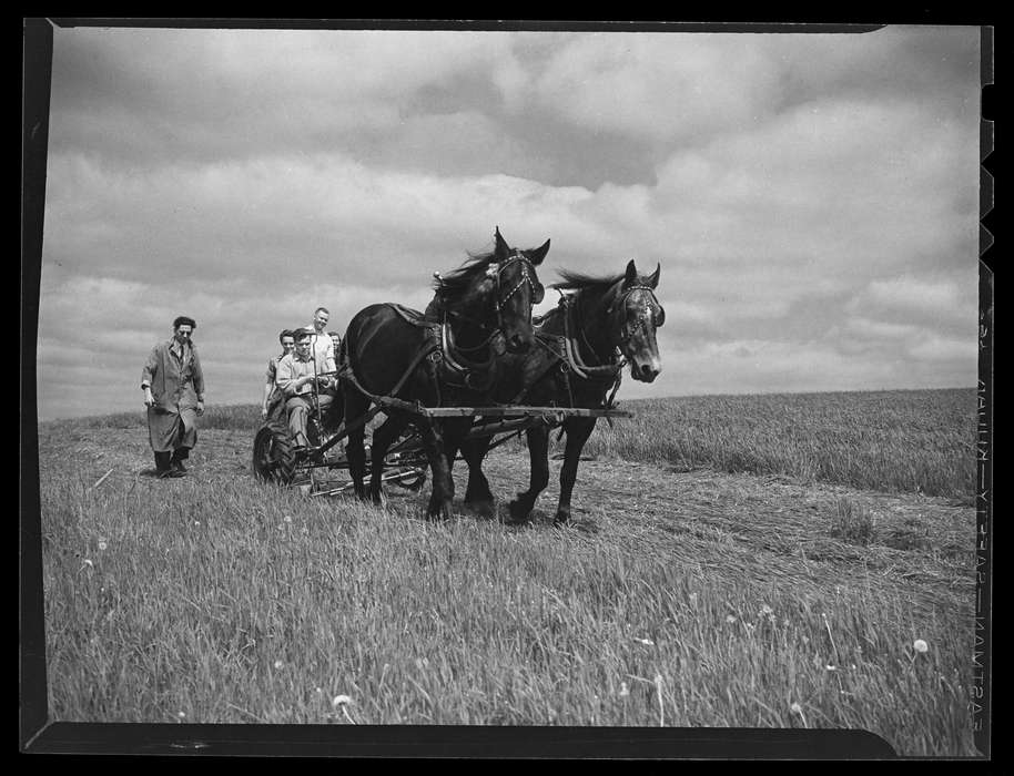 history of Iowa, Storrs, CT, Iowa History, Archives & Special Collections, University of Connecticut Library, Iowa, horse