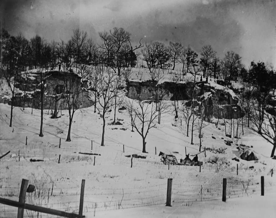 Landscapes, Iowa, Animals, hill, animals, rocks, winter, history of Iowa, fence, Lemberger, LeAnn, Ottumwa, IA, Winter, tree, snow, Iowa History