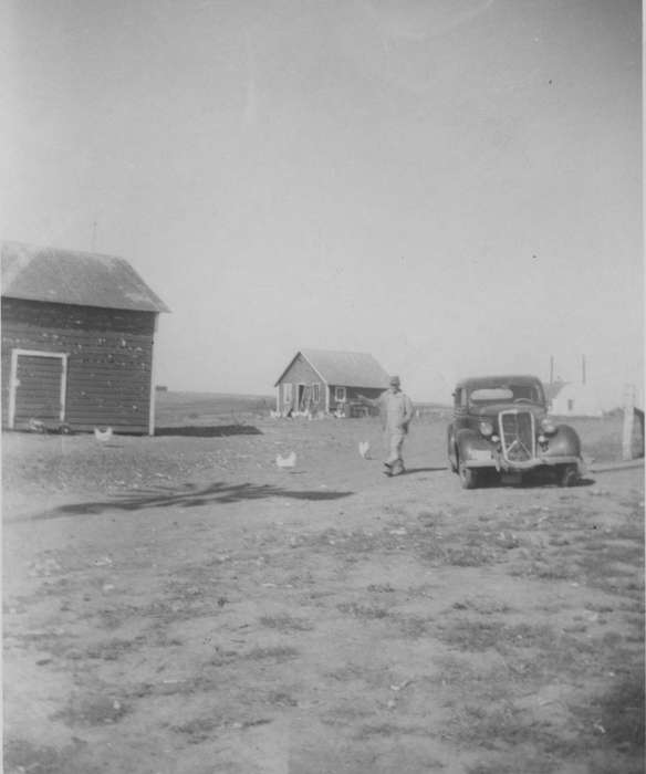 history of Iowa, Iowa History, Zubrod, Kevin and Deanna, Motorized Vehicles, Barns, Animals, chickens, car, Cleghorn, IA, Iowa