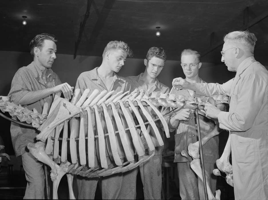 iowa state university, young men, anatomy class, history of Iowa, Iowa History, Library of Congress, studying, skeleton, professor, classmates, students, Schools and Education, Iowa, Labor and Occupations