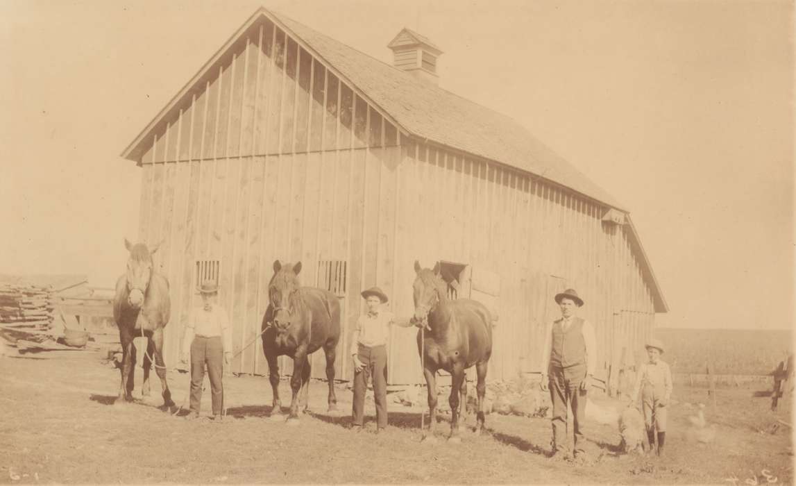 Portraits - Group, history of Iowa, Iowa History, Fairfax, IA, Barns, Animals, sheep, Iowa, Farms, horse, Cech, Mary