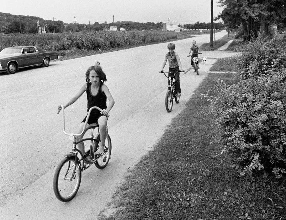 hedge, dog, history of Iowa, Iowa History, Lemberger, LeAnn, Motorized Vehicles, bicycle, field, car, road, Melrose, IA, bike, Iowa, Cities and Towns, Children, Leisure