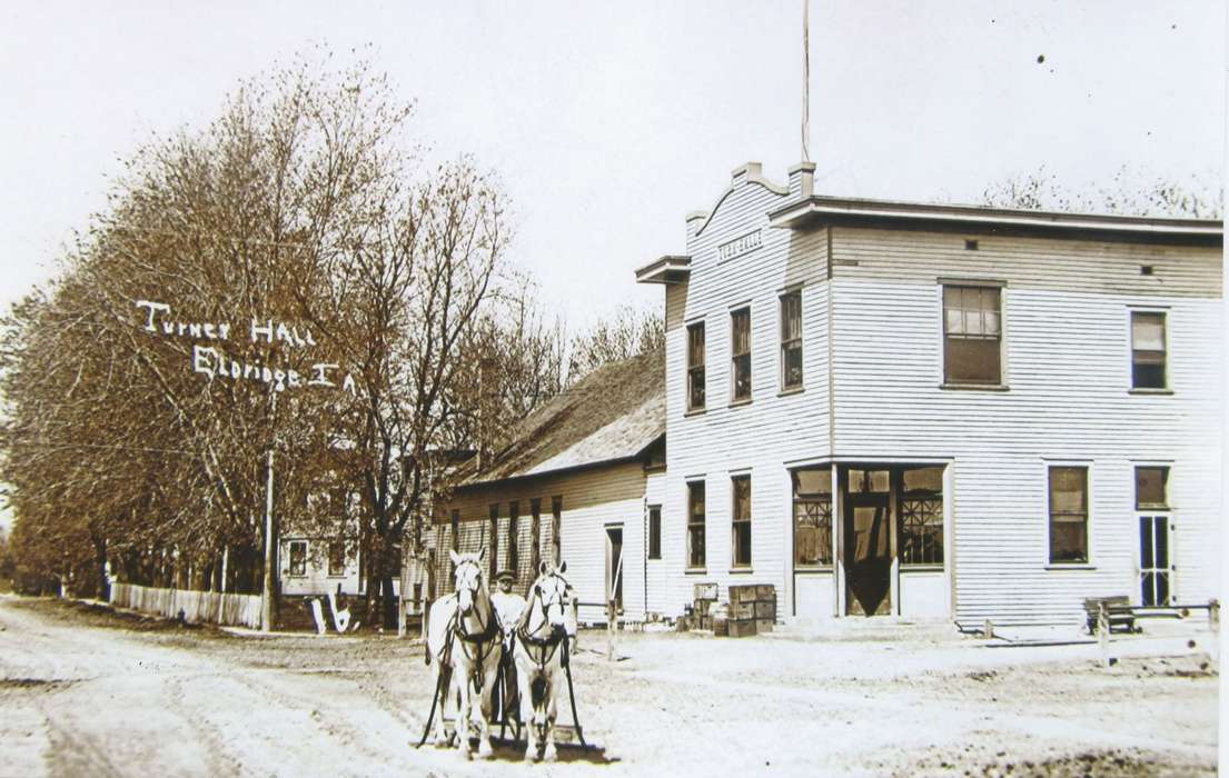 history of Iowa, Iowa History, Animals, Yeltman, Valerie, Iowa, Eldridge, IA, Cities and Towns, horse