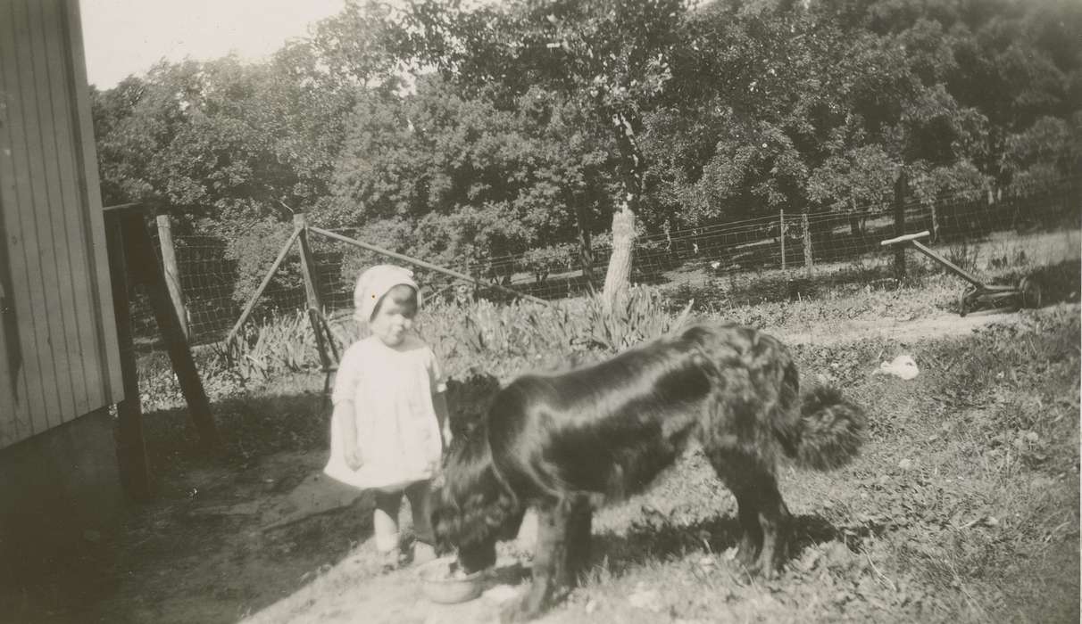 history of Iowa, Iowa History, Hampton, IA, Animals, Iowa, Beach, Rosemary, Farms, Children, dog