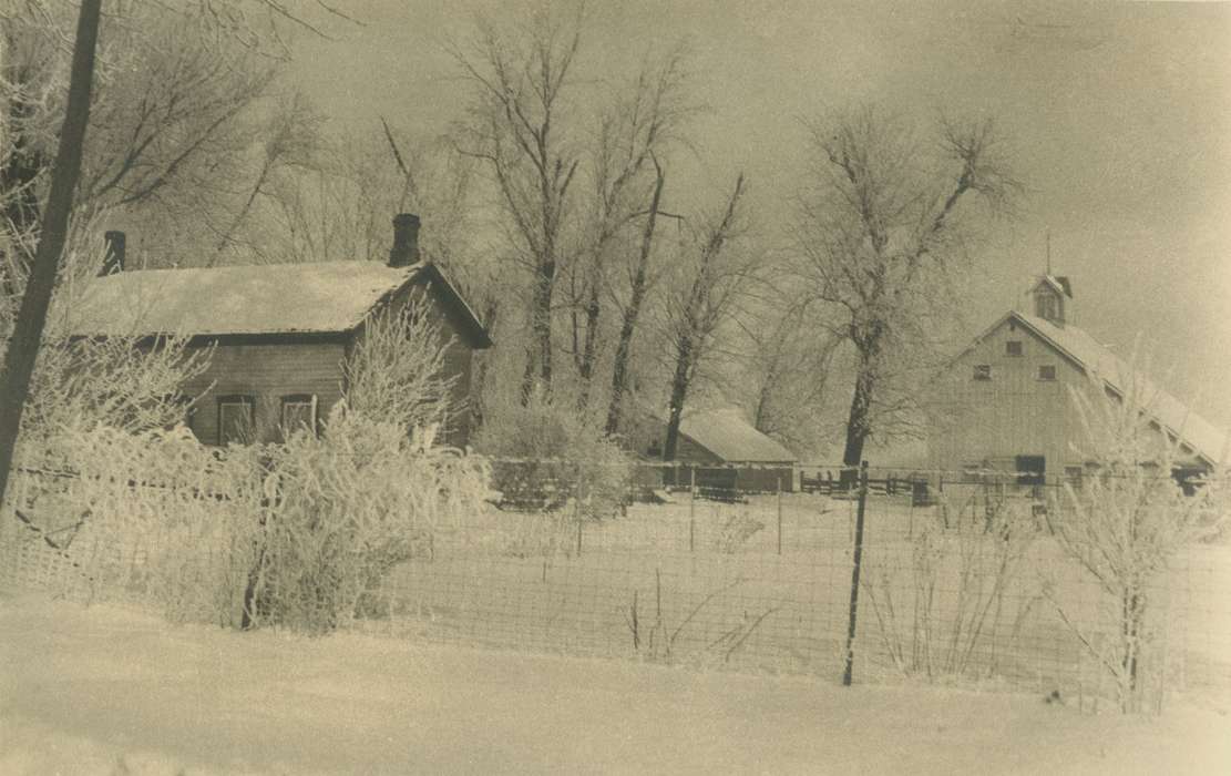 Iowa, Fairfax, IA, Cech, Mary, Farms, Winter, history of Iowa, snow, Iowa History