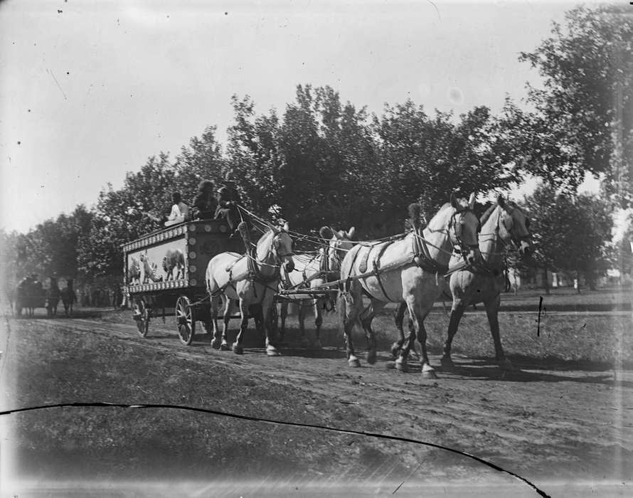 Fairs and Festivals, history of Iowa, Iowa History, Iowa, parade, horse, Waverly Public Library