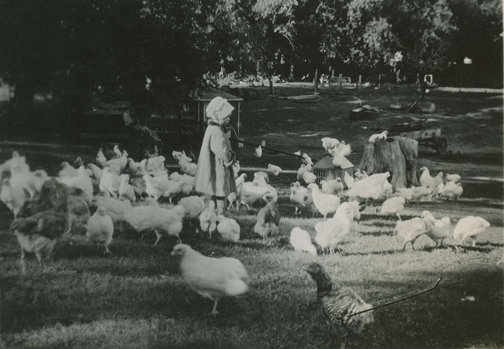 bonnet, history of Iowa, Iowa History, Hampton, IA, Animals, chickens, Iowa, Beach, Rosemary, Children