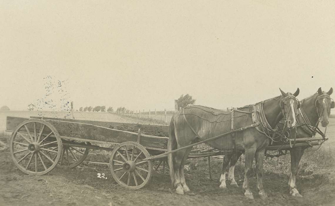 history of Iowa, Waverly Public Library, Iowa, horse, Readlyn, IA, horse drawn wagon, Iowa History, correct date needed, Animals