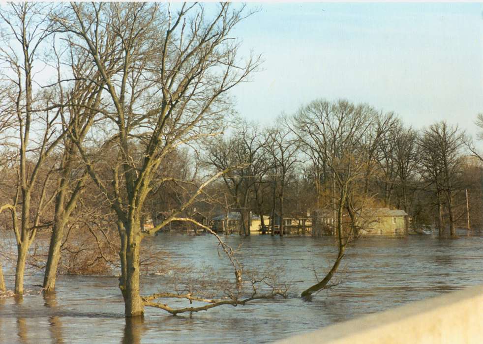 Floods, history of Iowa, Iowa History, Lakes, Rivers, and Streams, water, Iowa, flood, tree, Fuller, Steven, Waterloo, IA