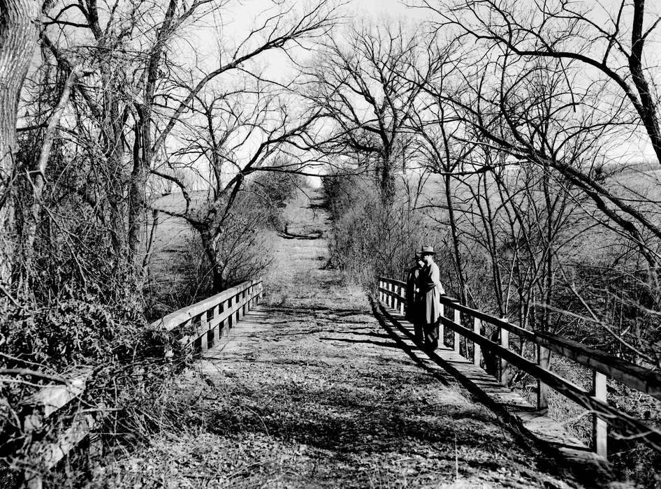 bridge, Iowa History, Ottumwa, IA, tree line, history of Iowa, Lemberger, LeAnn, Lakes, Rivers, and Streams, Iowa, tree