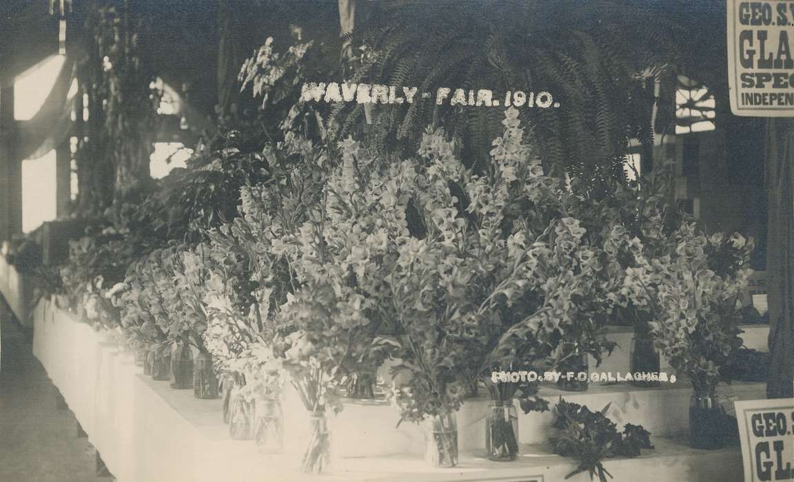 history of Iowa, flowers, Iowa History, Civic Engagement, Waverly, IA, fair, Fairs and Festivals, Iowa, Cities and Towns, jar, Waverly Public Library