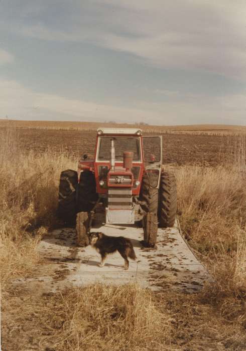 Animals, tractor, Iowa History, Iowa, Motorized Vehicles, field, dog, Farms, Farming Equipment, Malcolm, Cindy, Hansell, IA, history of Iowa