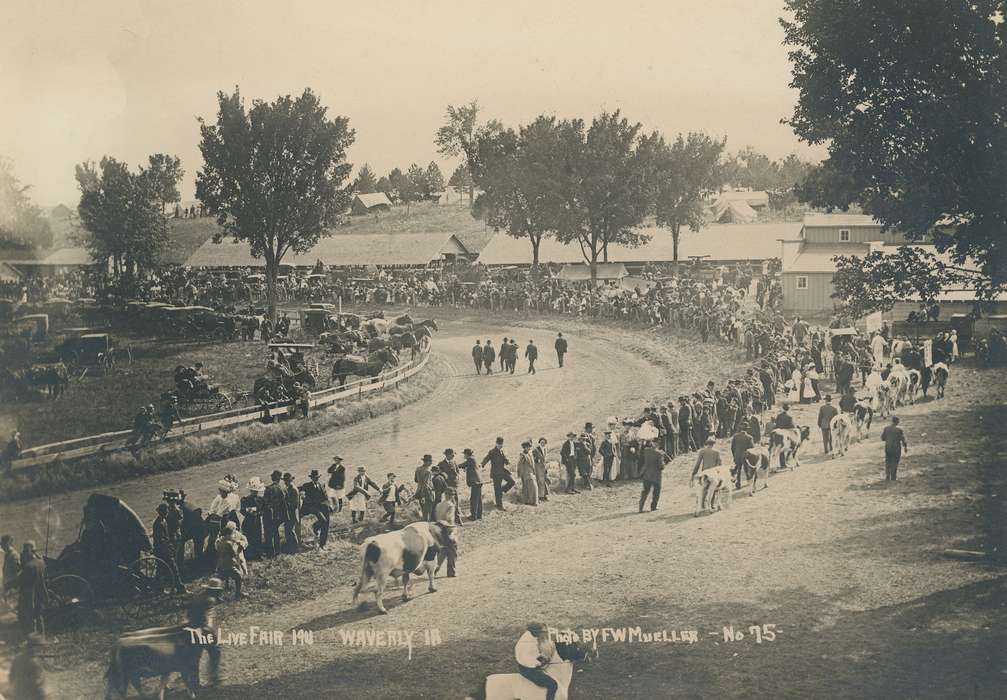 Portraits - Group, cows, Farming Equipment, history of Iowa, Iowa History, Families, Barns, Animals, trees, racetrack, Waverly, IA, Fairs and Festivals, Iowa, Outdoor Recreation, Children, Waverly Public Library, dirt track