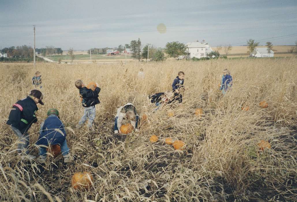 history of Iowa, pumpkin, Iowa History, field, pumpkin patch, Iowa, Shell Rock, IA, Children, Waverly Public Library, Outdoor Recreation