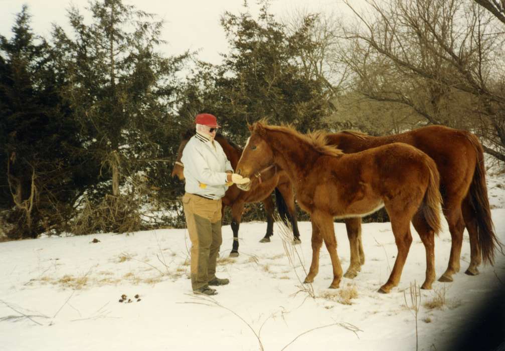 history of Iowa, Iowa History, Winter, Animals, Fouche, Shirley, Iowa, snow, horse, Osceola, IA, farmlife