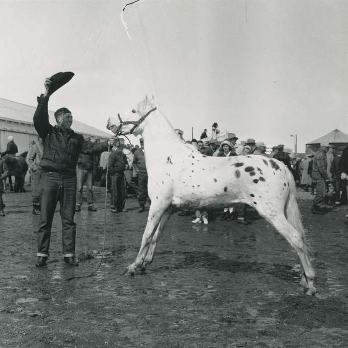 history of Iowa, Iowa History, Animals, Waverly, IA, crowd, Iowa, correct date needed, horse, Waverly Public Library