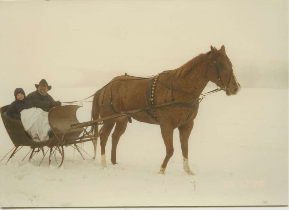 Bankston, IA, history of Iowa, Iowa History, Winter, Animals, Tucker, Rose, sleigh, Iowa, snow, horse, Leisure