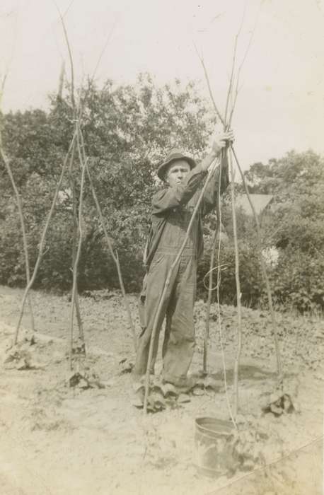 farmer, Farming Equipment, history of Iowa, Iowa History, Ottumwa, IA, field, lattice, Iowa, Lemberger, LeAnn, Farms