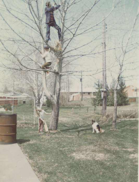history of Iowa, Iowa History, IA, Owens, Lois, outdoors, barren tree, branches, playing, Iowa, Outdoor Recreation, climbing, tree, Children, dog, fall
