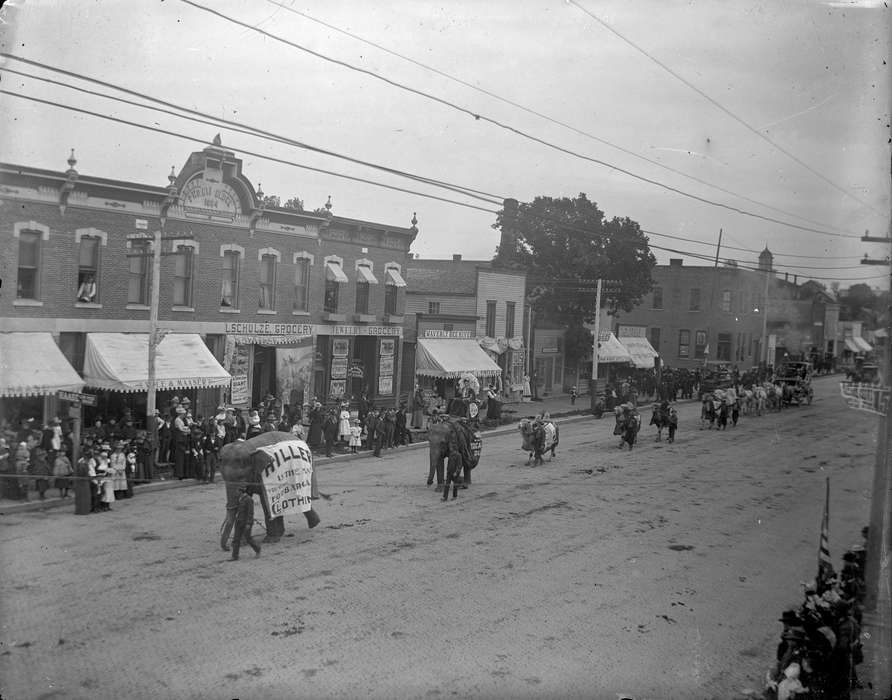 Main Streets & Town Squares, history of Iowa, Iowa History, parade, Animals, Fairs and Festivals, Iowa, Cities and Towns, elephant, Waverly Public Library