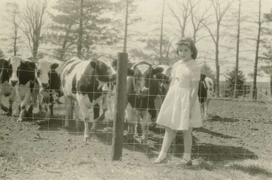 cows, holstein, Iowa, Animals, cattle, Children, dress, fence, Hampton, IA, Farms, history of Iowa, Iowa History, Malcolm, Cindy