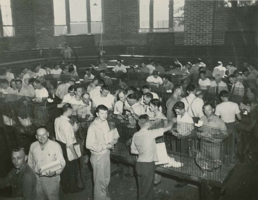 history of Iowa, hatchery, chicken, Ames, IA, Iowa History, Businesses and Factories, Animals, Iowa, Farms, McMurray, Doug