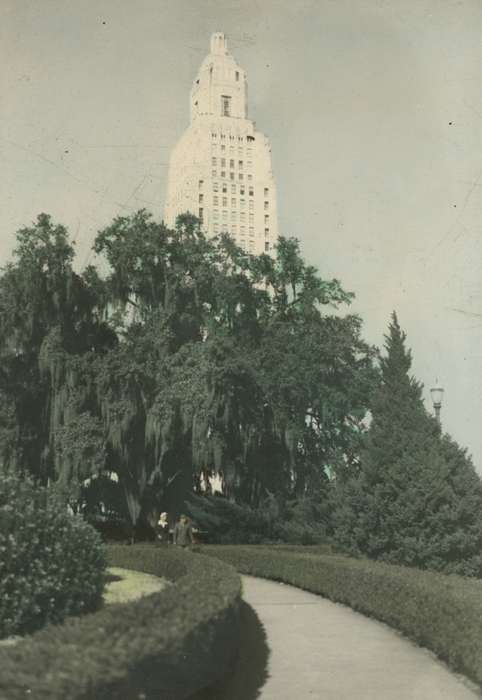 oak tree, Baton Rouge, LA, Iowa History, colorized, Iowa, McMurray, Doug, Travel, skyscraper, history of Iowa