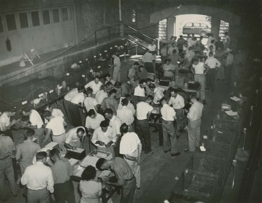 history of Iowa, hatchery, Ames, IA, Iowa History, Businesses and Factories, Iowa, McMurray, Doug, Labor and Occupations