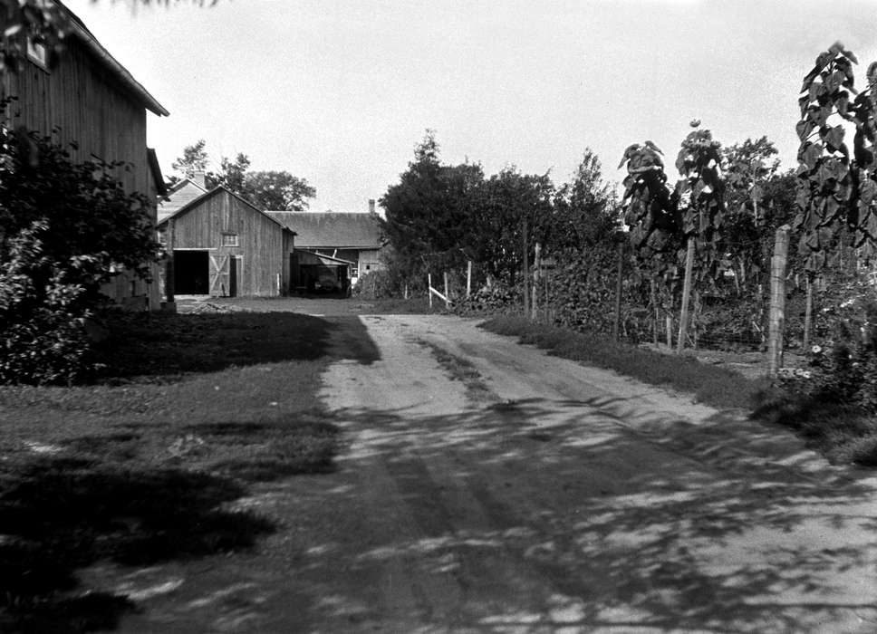 Iowa, barn, Barns, history of Iowa, Lemberger, LeAnn, Amana, IA, dirt road, Iowa History